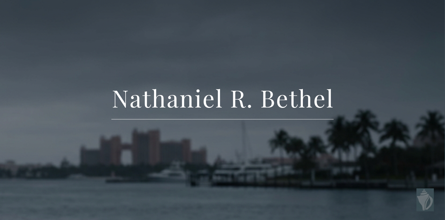 Nathaniel R. Bethel demo site screenshot
