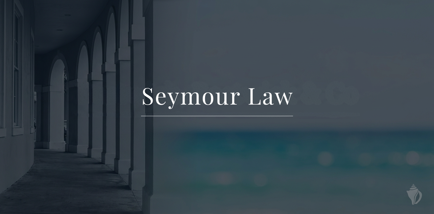 Seymour Law demo site screenshot