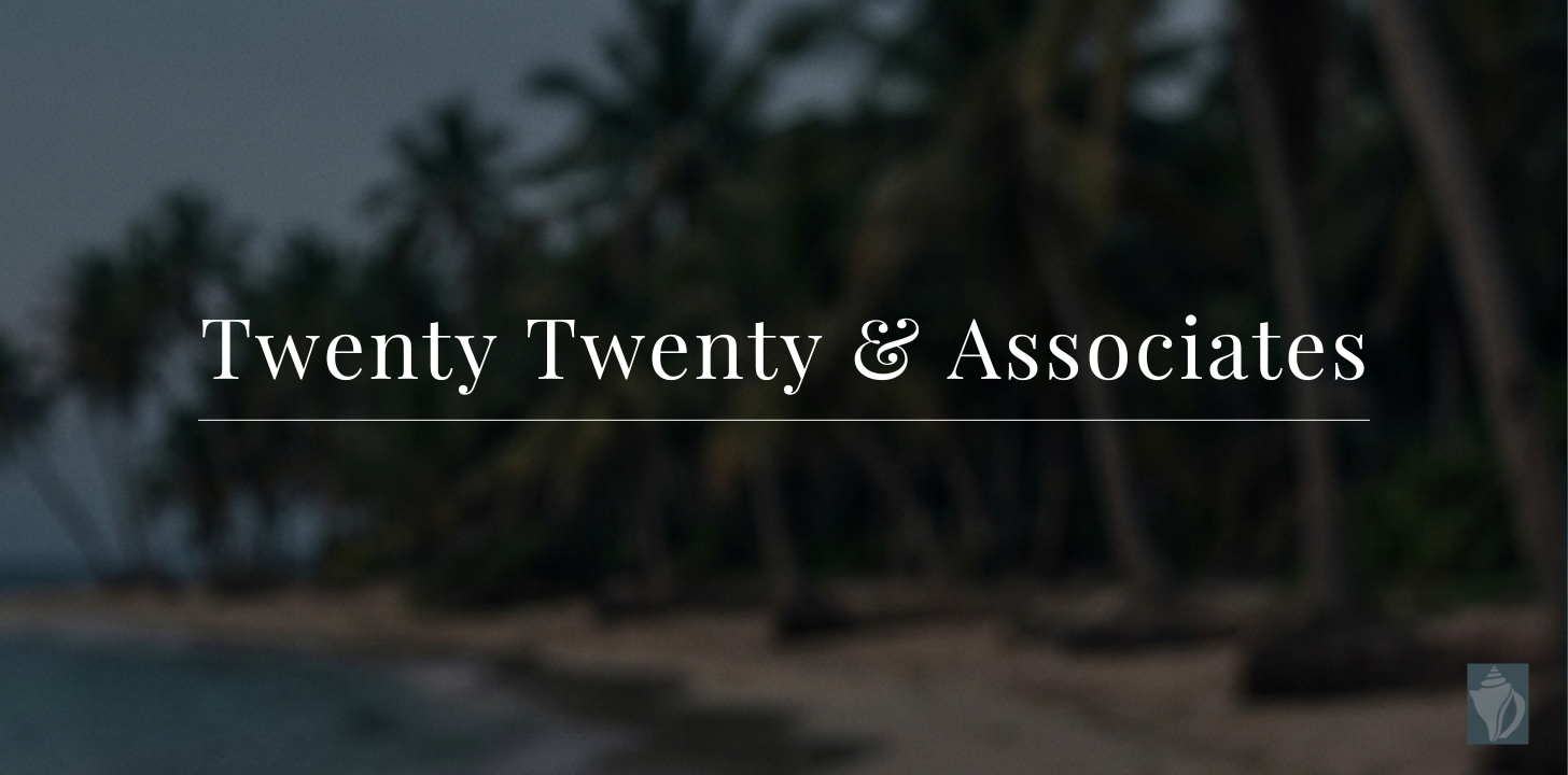 Twenty Twenty & Associates demo site screenshot